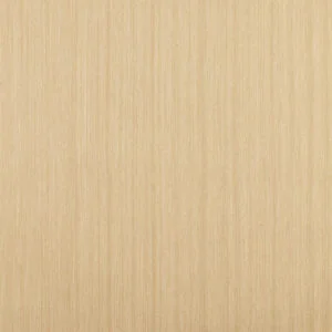 Arden AR 107 Arden AR 107