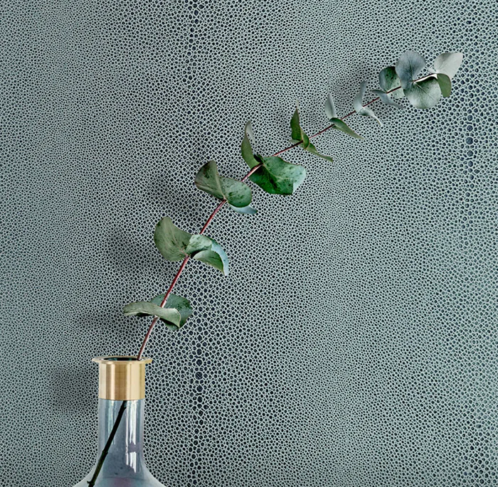 Shagreen-02-roomset-scaled Shagreen-02-roomset-scaled