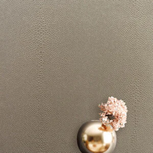 Shagreen-05-Roomset-scaled Shagreen-05-Roomset-scaled
