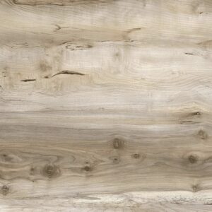 дуб каньон крупнолистный lm-0689