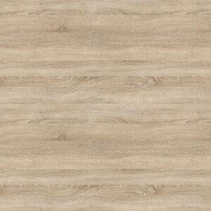 Дуб московский lm-0695