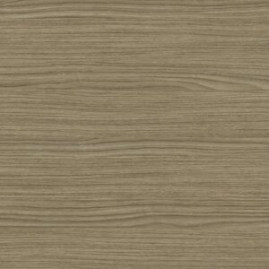 дуб сальвадор lm-0691