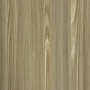 сосна асахи lm-0640