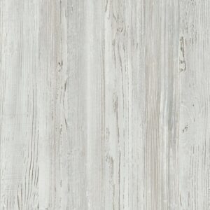 сосна зимняя lm-0676