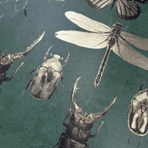 Untitled-design-8-700×700